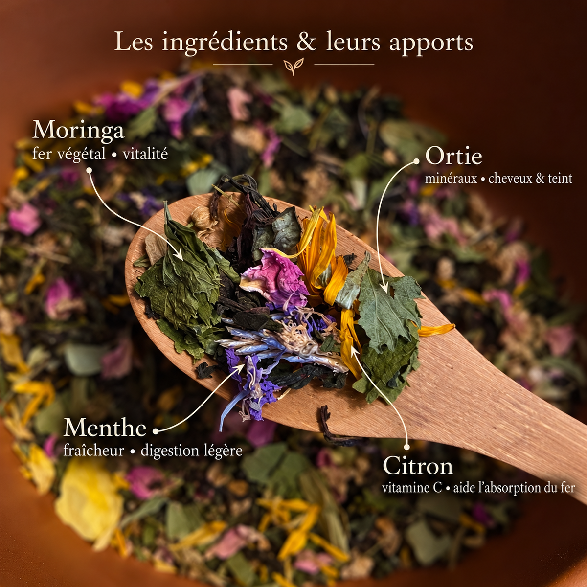Iron Boost — Infusion Moringa & Ortie