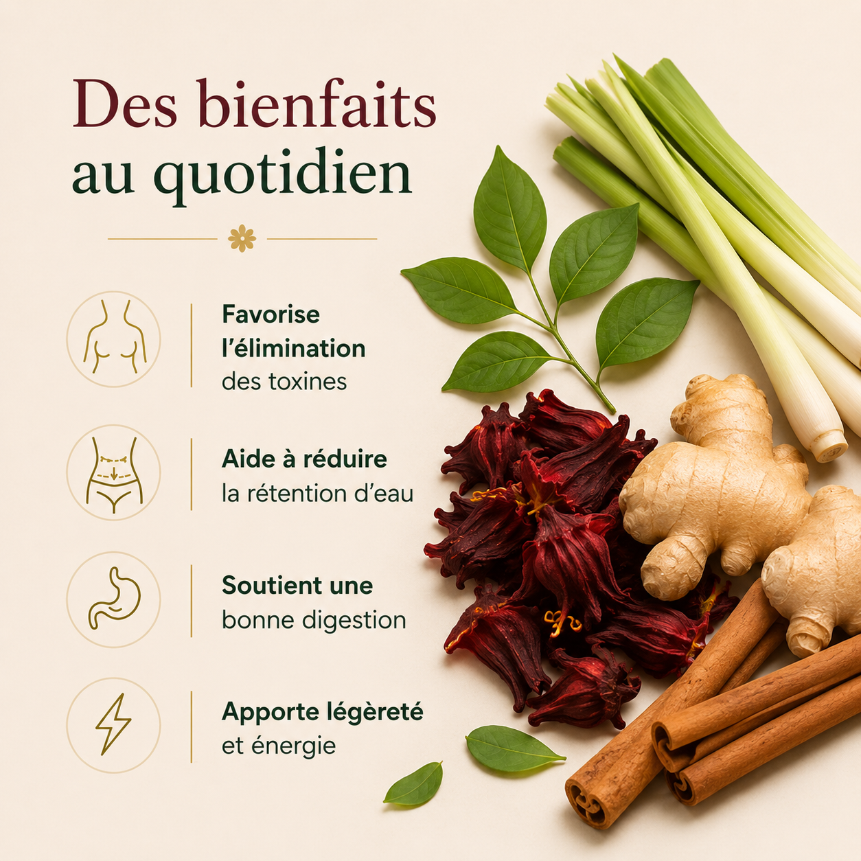 MINCI-L'infusion drainage & légèreté quotidienne